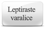 varalice/ribolovackipribor